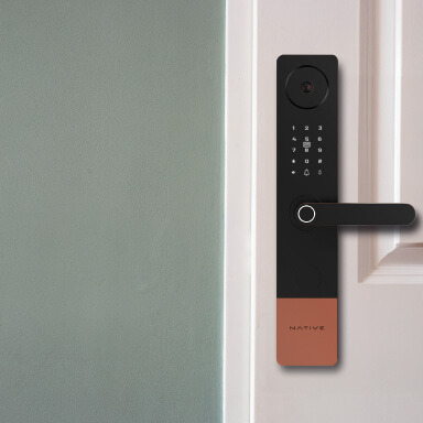 Native Smart Locks
