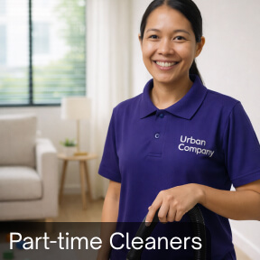 4 visits: Cleaning pack (2 hours)