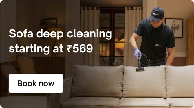 Sofa & Carpet Cleaning