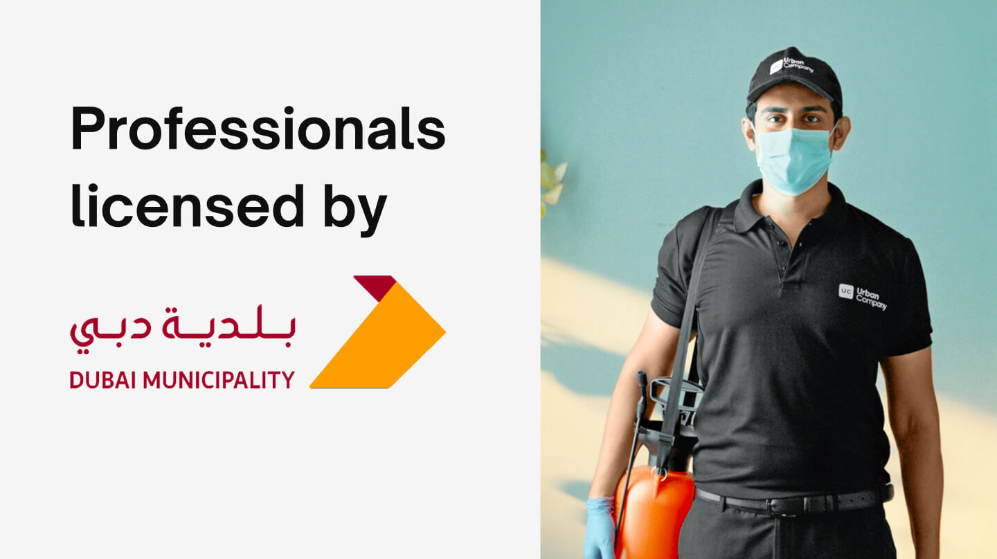 Pest Control Services in Sharjah: Experts in Cockroach, Mosquito, Bed Bug Treatment, and More 0