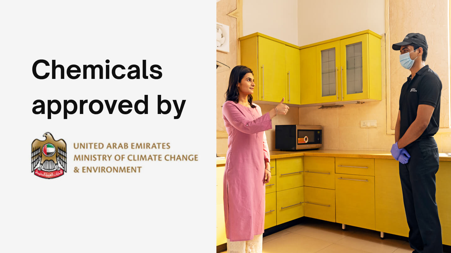 Pest Control Services in Sharjah: Experts in Cockroach, Mosquito, Bed Bug Treatment, and More 1