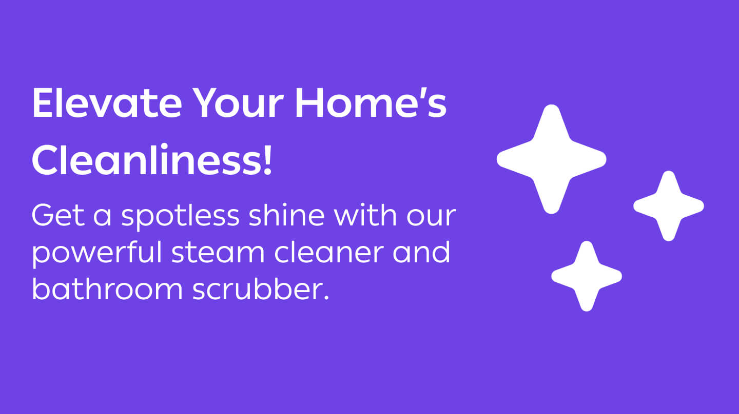 Single-Visit Cleaning 4