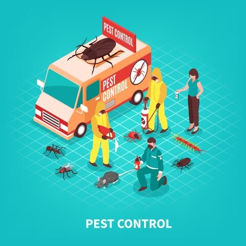 pest control