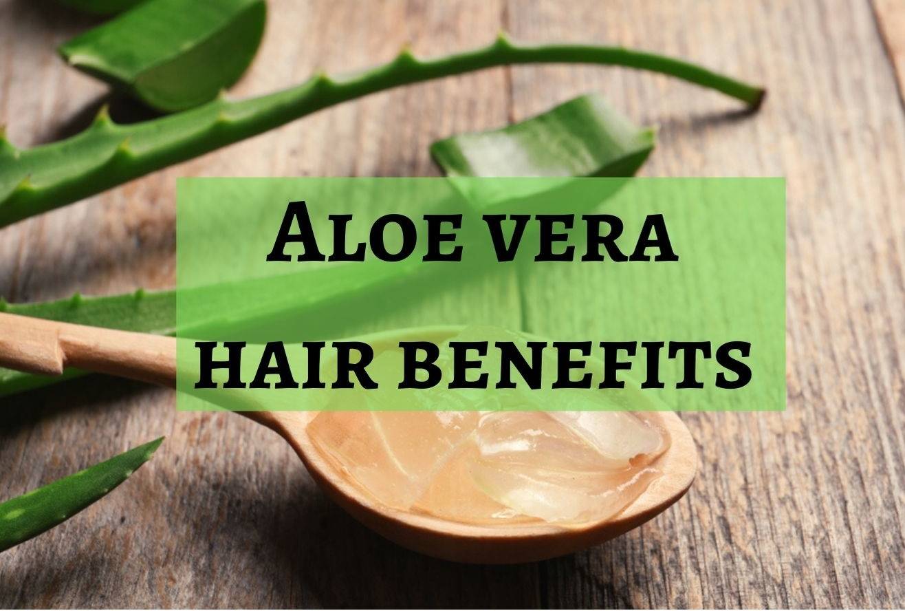 Benefits Of Aloe Vera For Hair: How Does It Help Hair Growth