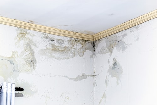 water seepage in walls