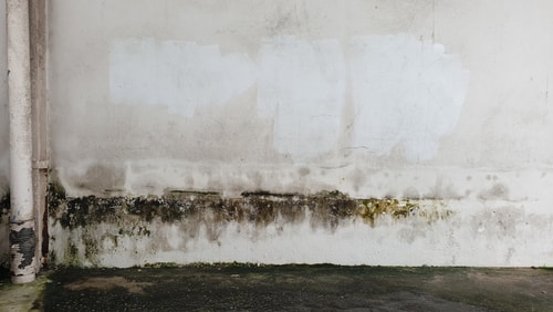 Gaps in window frames