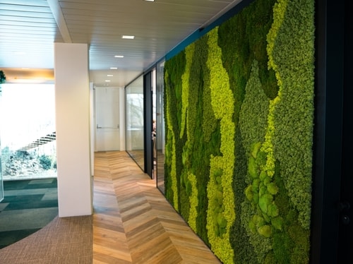 Vertical Garden Wall Panel
