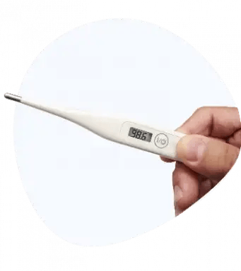 Daily temperature checks