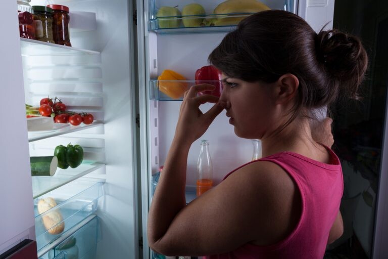 Keep It Fresh – How To Get Rid Of Bad Smell From The Fridge