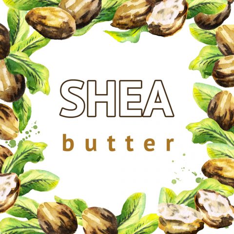 6 Benefits Of Shea Butter For Skin And Hair