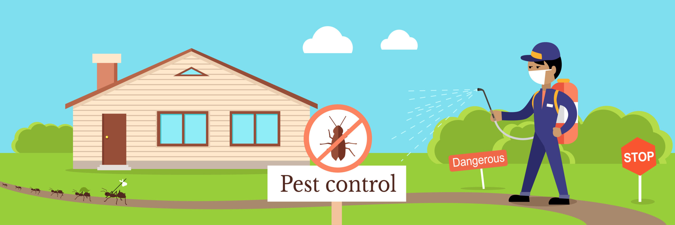 5 Reasons To Get Pest Control Done After House Cleaning (Tips & Tricks)
