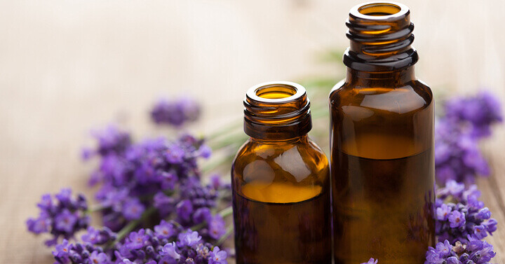 Daily DIY Home Care: Easy Homemade Pest Control Solutions